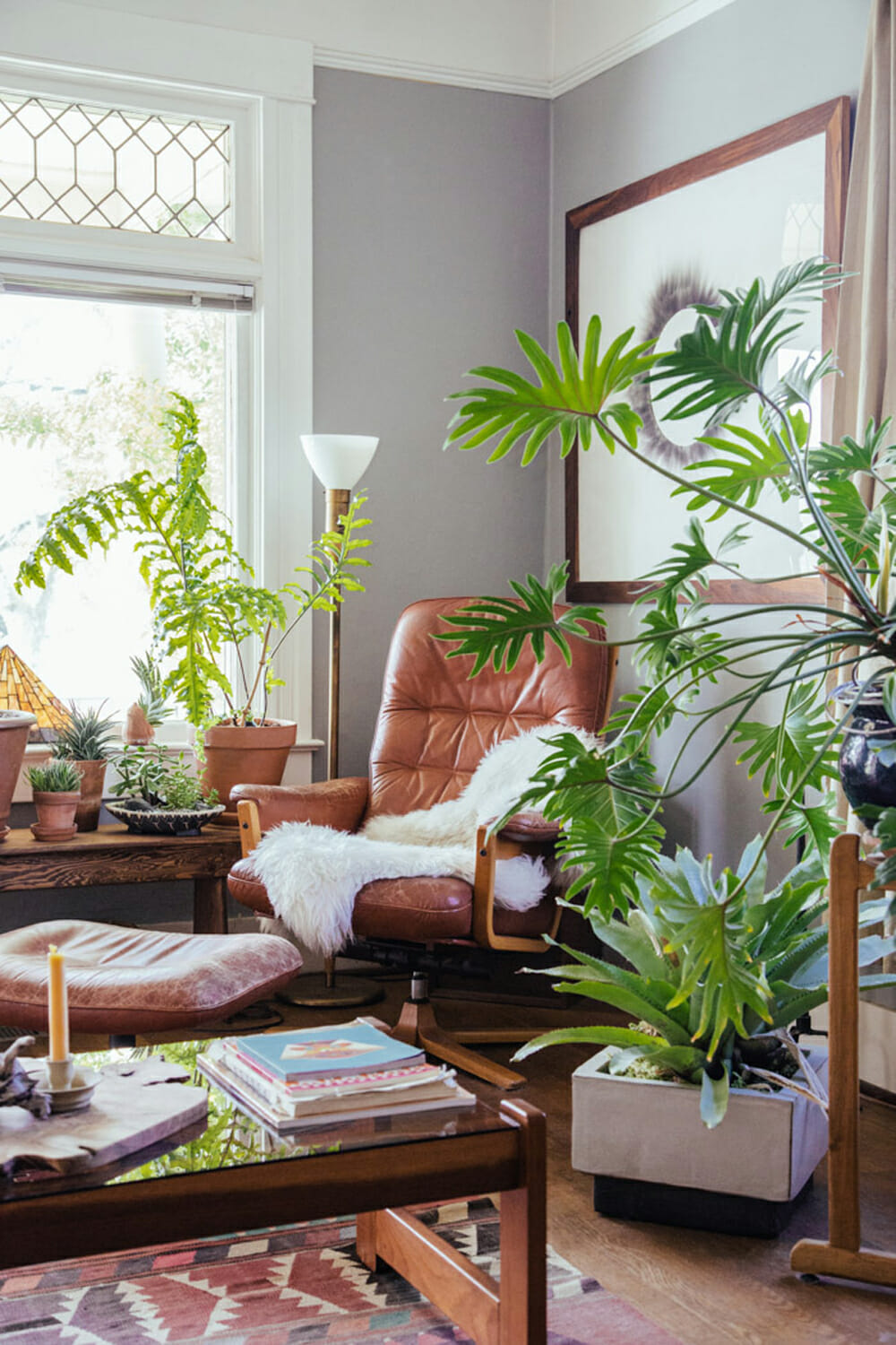 Decorating with Plants - Modernize