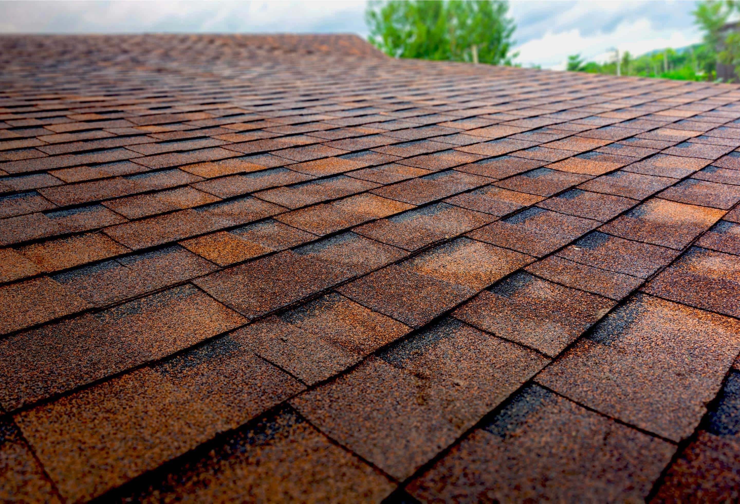 The Pros and Cons of Different Roof Types - Modernize