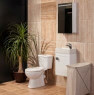 Image shows a new toilet in a tiled bathroom with a plant