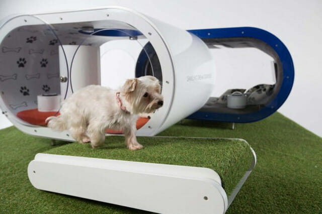 Samsung Dream Dog House