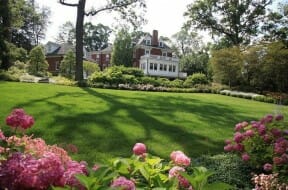 Summer Lawn