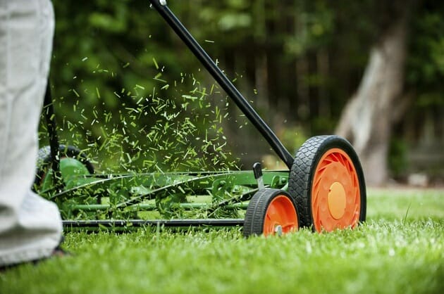 eco-friendly-lawnmower