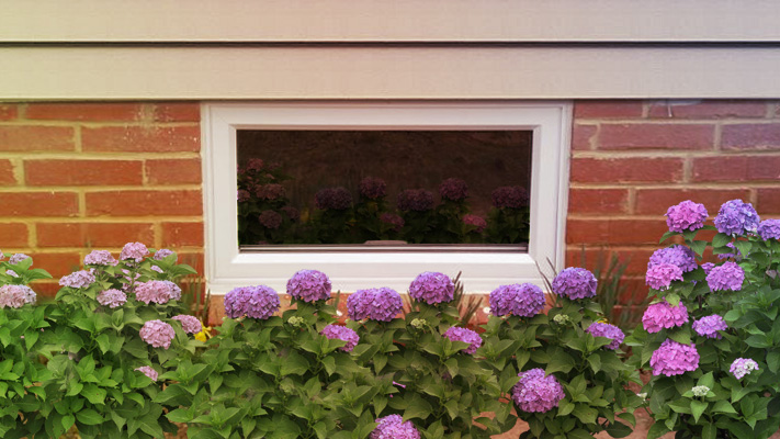 White hopper window as seen from the exterior of a basement