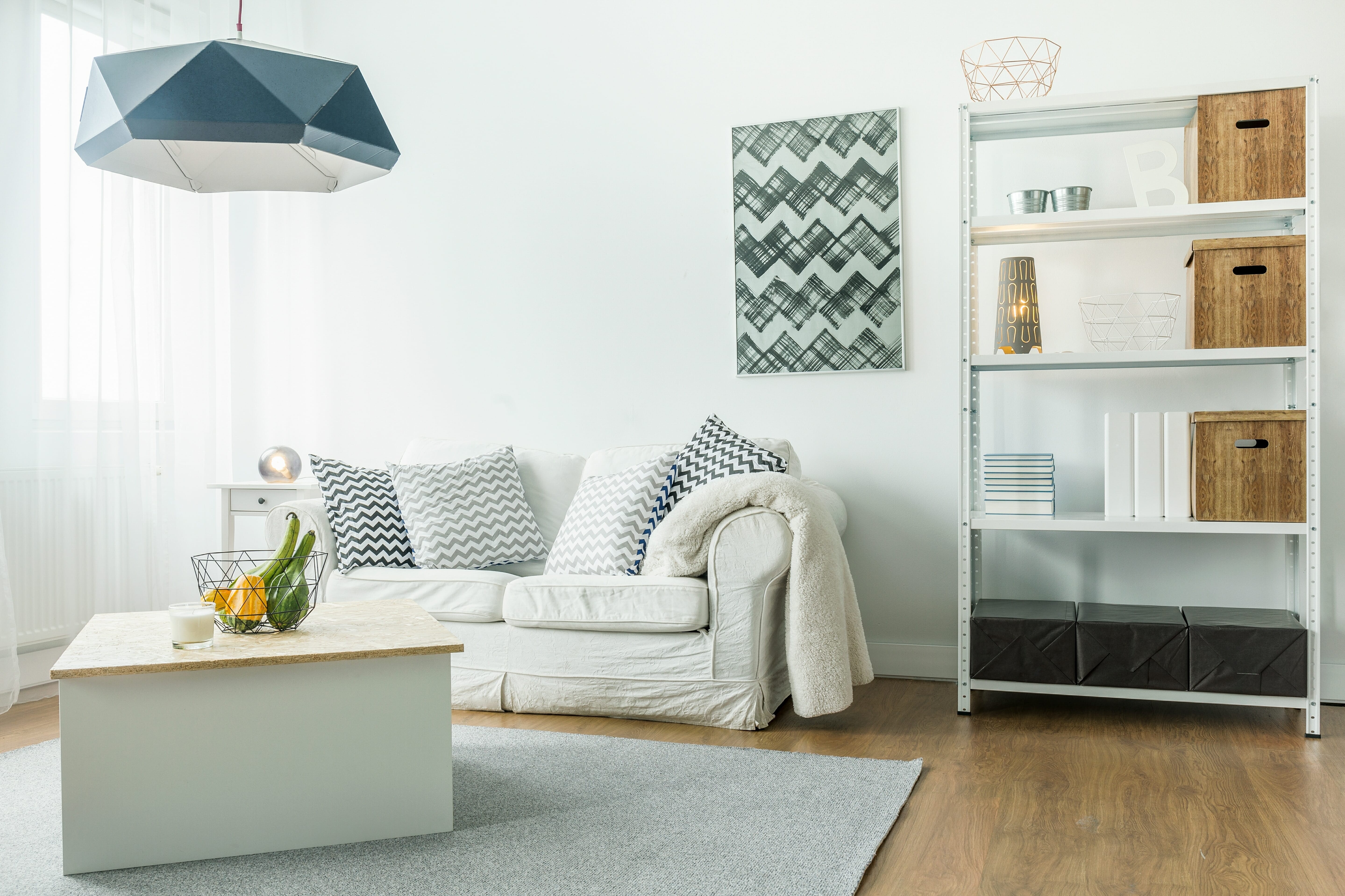 Clean Lines Minimalist Living Room