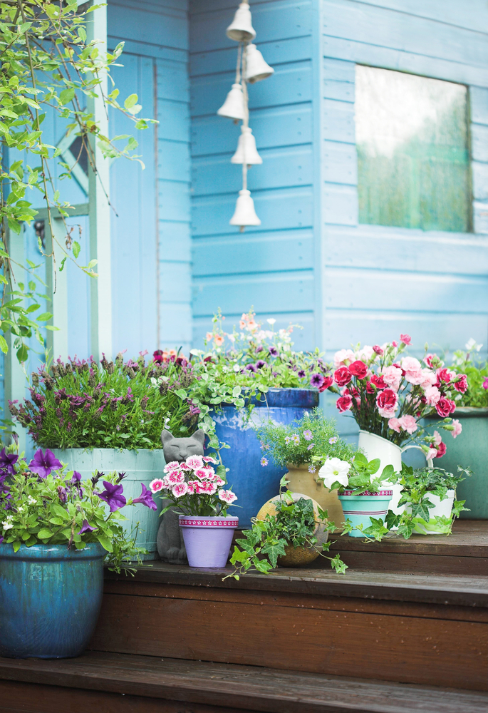 How to Boost Your Curb Appeal with a Container Garden | Modernize