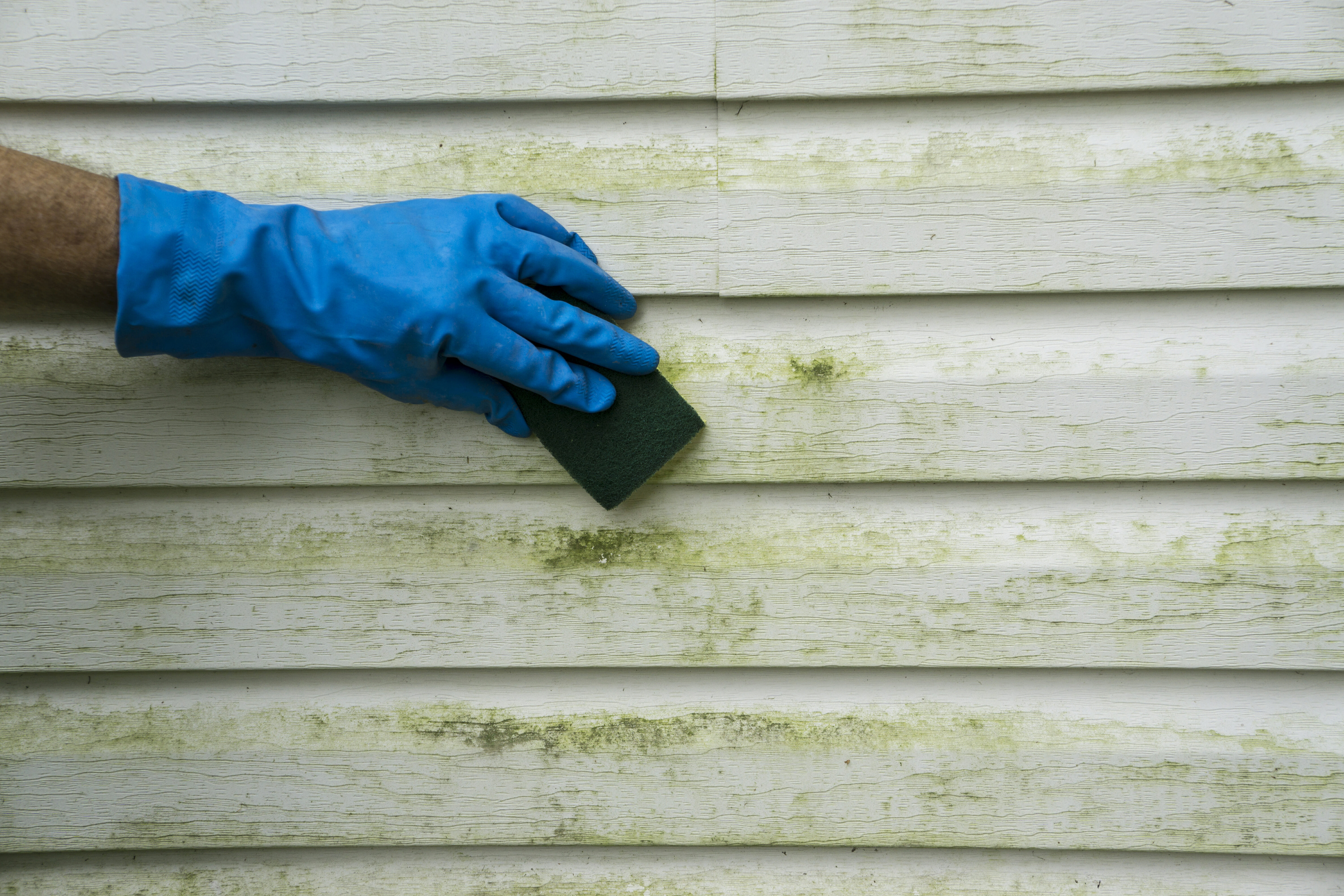 Siding Cleaning in Plattville IL