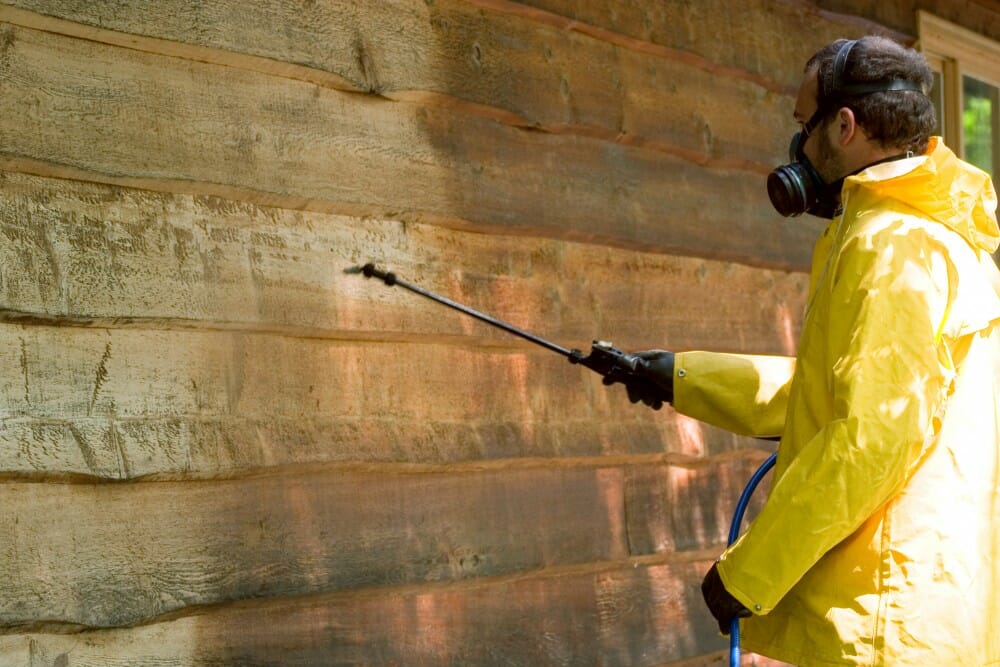 Siding Cleaning and Maintenance