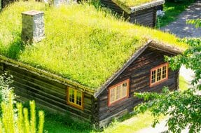 green roof - cheapest roofing materials