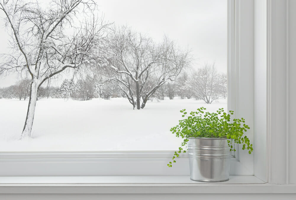 Snowy Winter Window