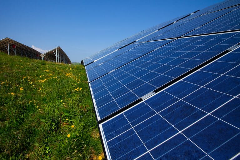 Understanding the Quality of Different Solar Panels Modernize