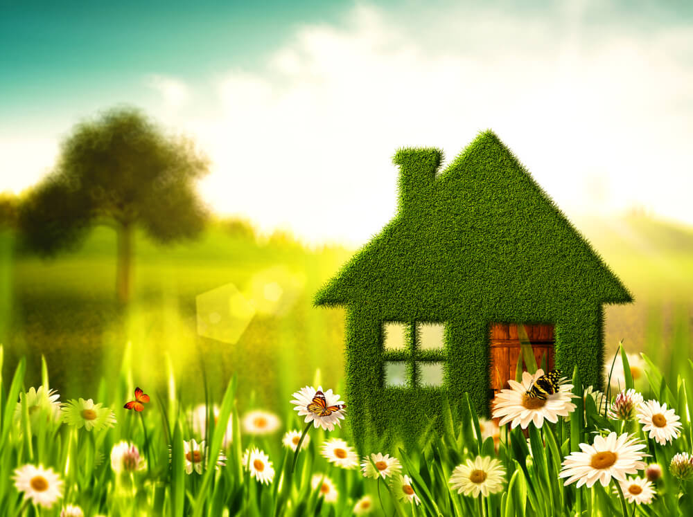eco-friendly-home