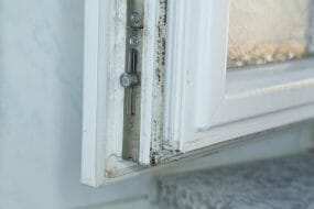 Mold on window frame