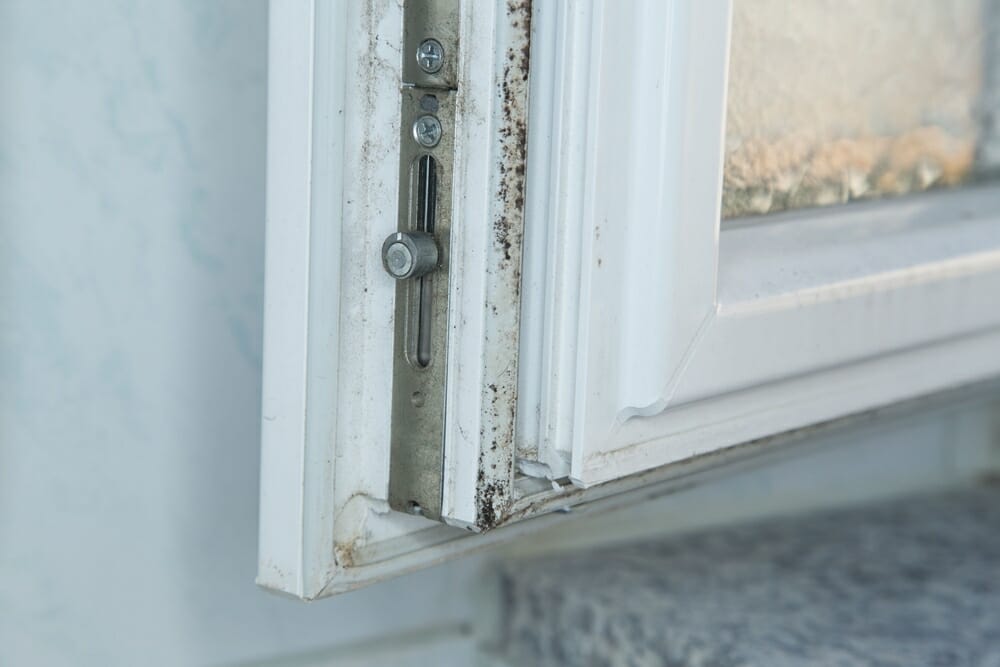 What To Do About Mold On Windows Modernize