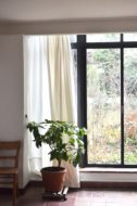 floor-to-ceiling windows in entryway