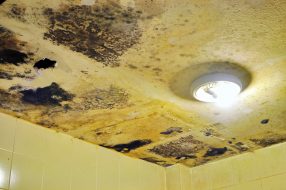 Water damaged ceiling and mold in bathroom