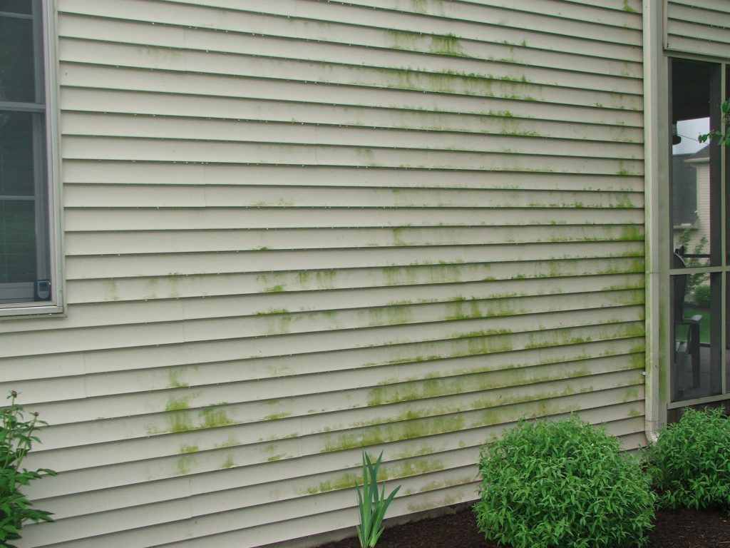 Siding Removal Process Is it Necessary to Remove All Old Siding