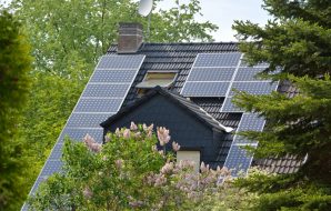 solar panels on woodsy home