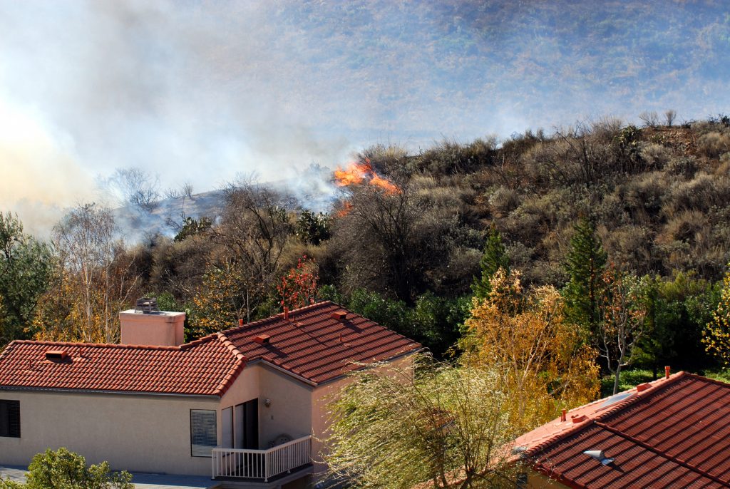 Approaching Brushfire