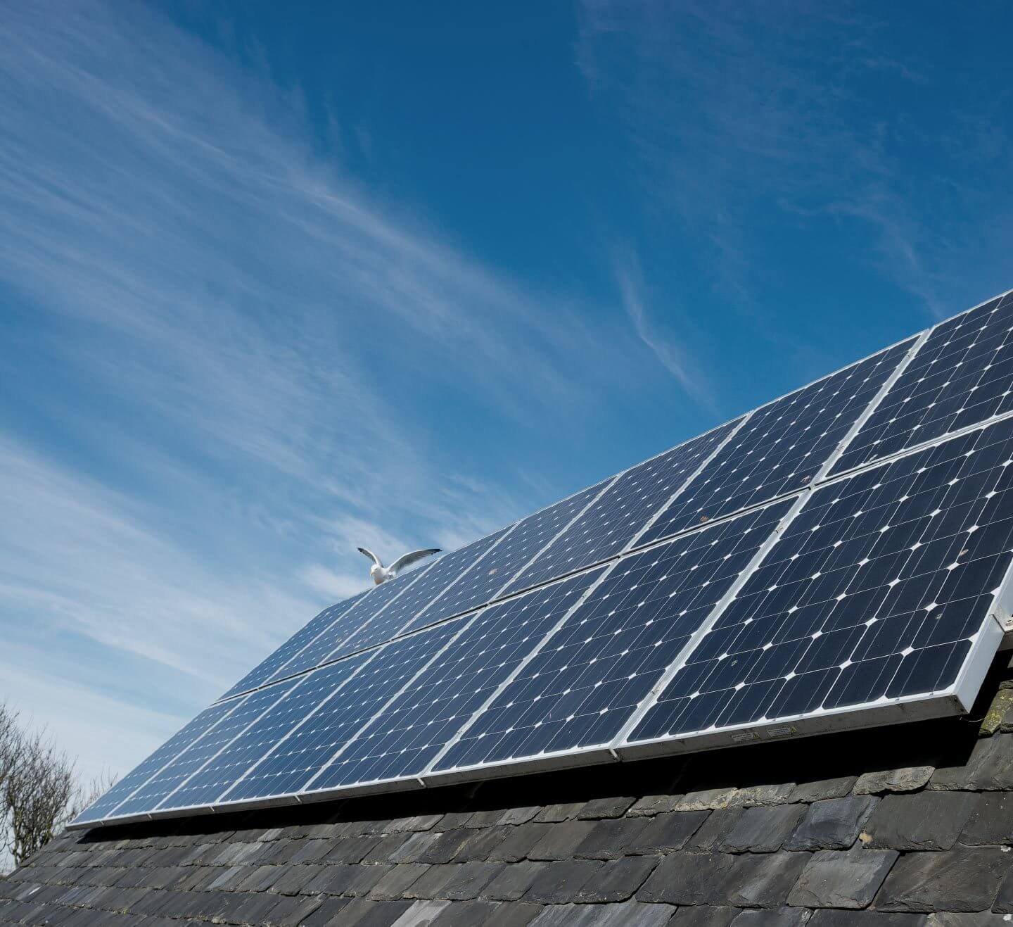 Solar Panel Leasing in 2022 | Cost to Lease Solar Panels | Modernize