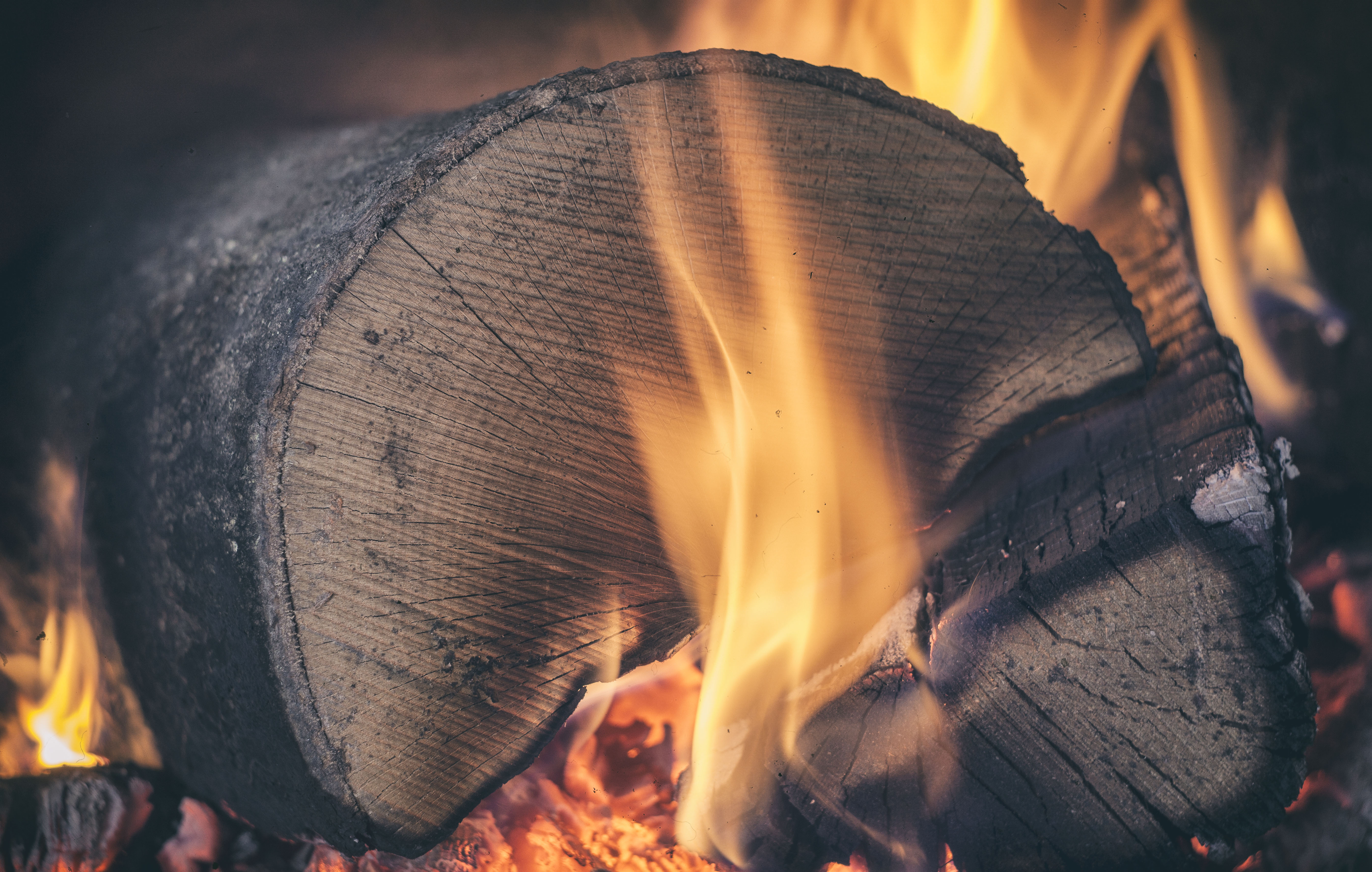 log burning
