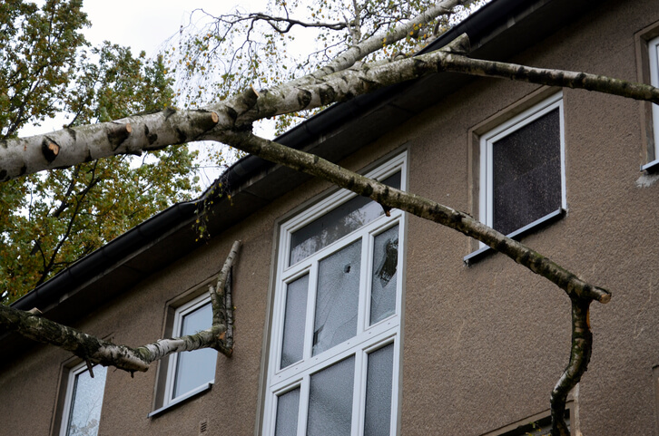 Window damage and house damage due to a fallen tree after a storm. 