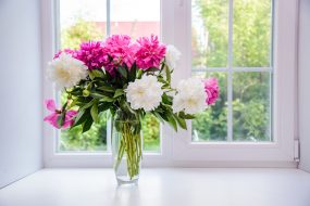 fiberglass replacement windows