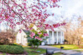 spring-home-maintenance