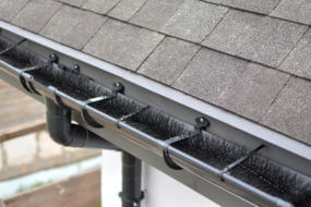 bottle brush gutter guard type