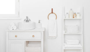 bathroom-bookshelf