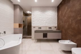 bidet