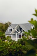 Roof through trees