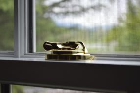 Window with screen