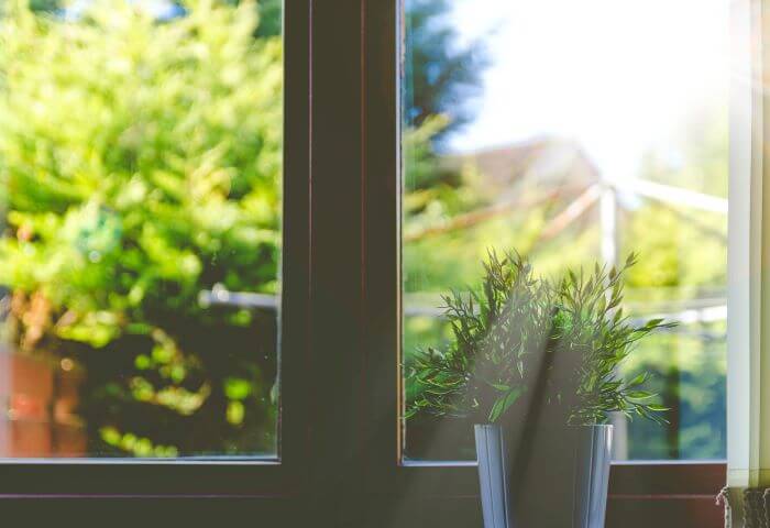 House window with sunshine and a plant