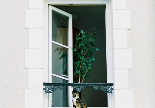 Window Panes for Homes | Modernize