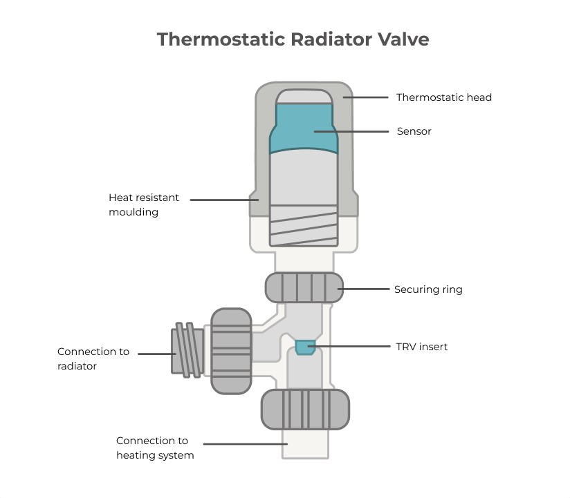 Thermostatic Radiator Valve - Modernize