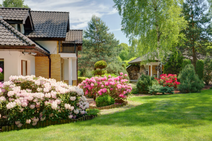 professional landscape service for homeowner