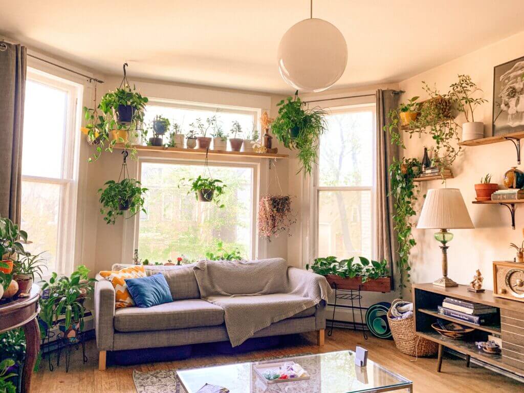 bay window living room ideas house plants