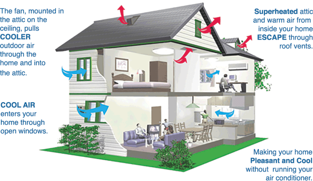 Graphic of a home showing how a whole house fan moves air throughout