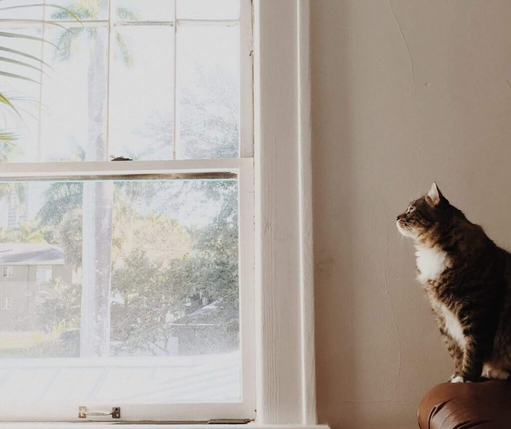 Single-hung window in a home