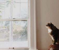 Single-hung window in a home
