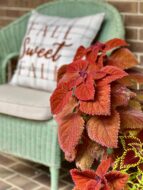 Fall front porch with chair, fall decorative pillow, and plant with orange leaves