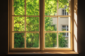 a pexiglass window with a tree in front of it on a sunny day