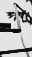 Black and white image of an exterior water line