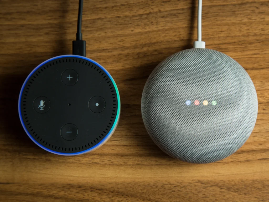 google home and amazon echo