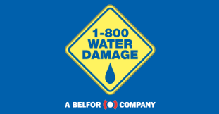 1-800-Water-Damage