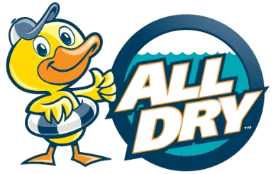 All Dry Services