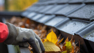 Image of a gloved hand removing leaves from a gutter