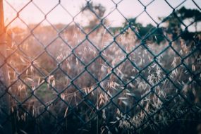 Zoomed in photo of a chain link fence with wild grass beyond