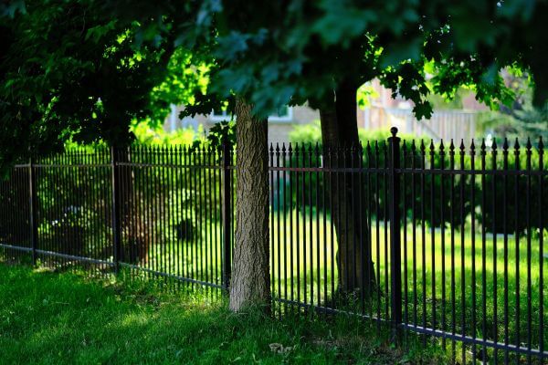 Wrought iron fencing in a yard with trees