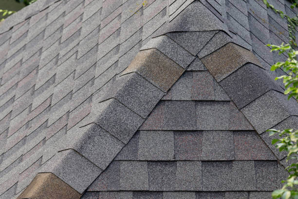 Roof ridge cap